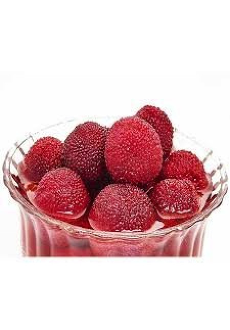 Arbutus Madroños o Fresas Chinas